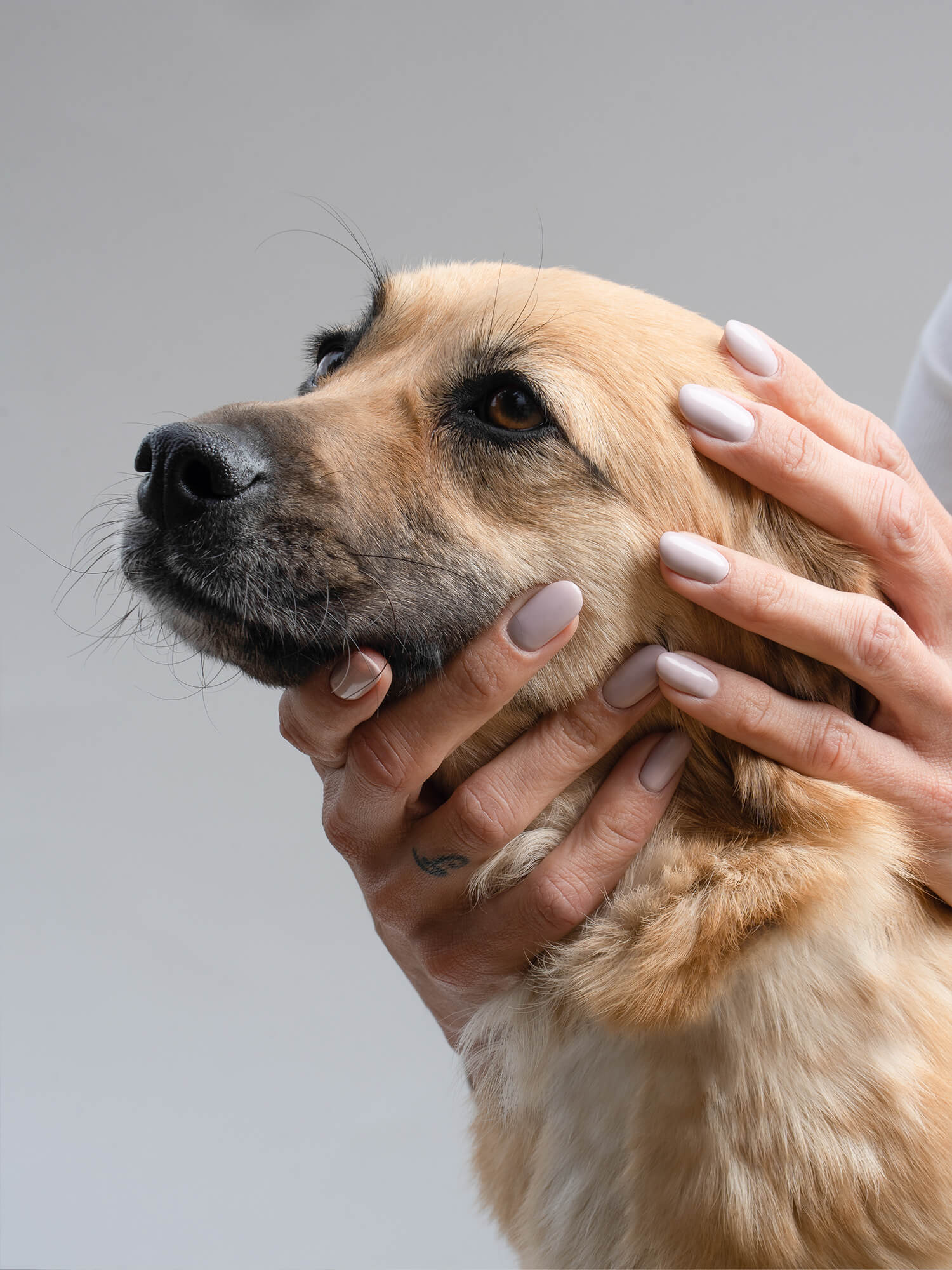 Onyx Nails Ημιμόνιμο βερνίκι 121 Catitude 7ml