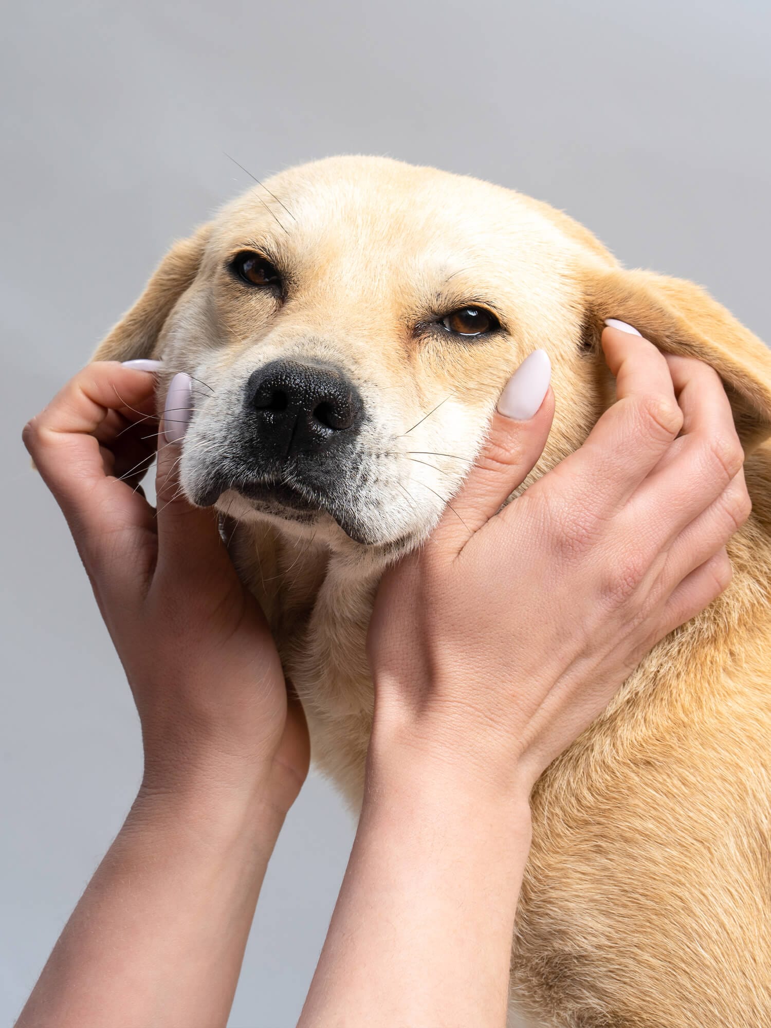 Onyx Nails Ημιμόνιμο βερνίκι 123 Furry 7ml