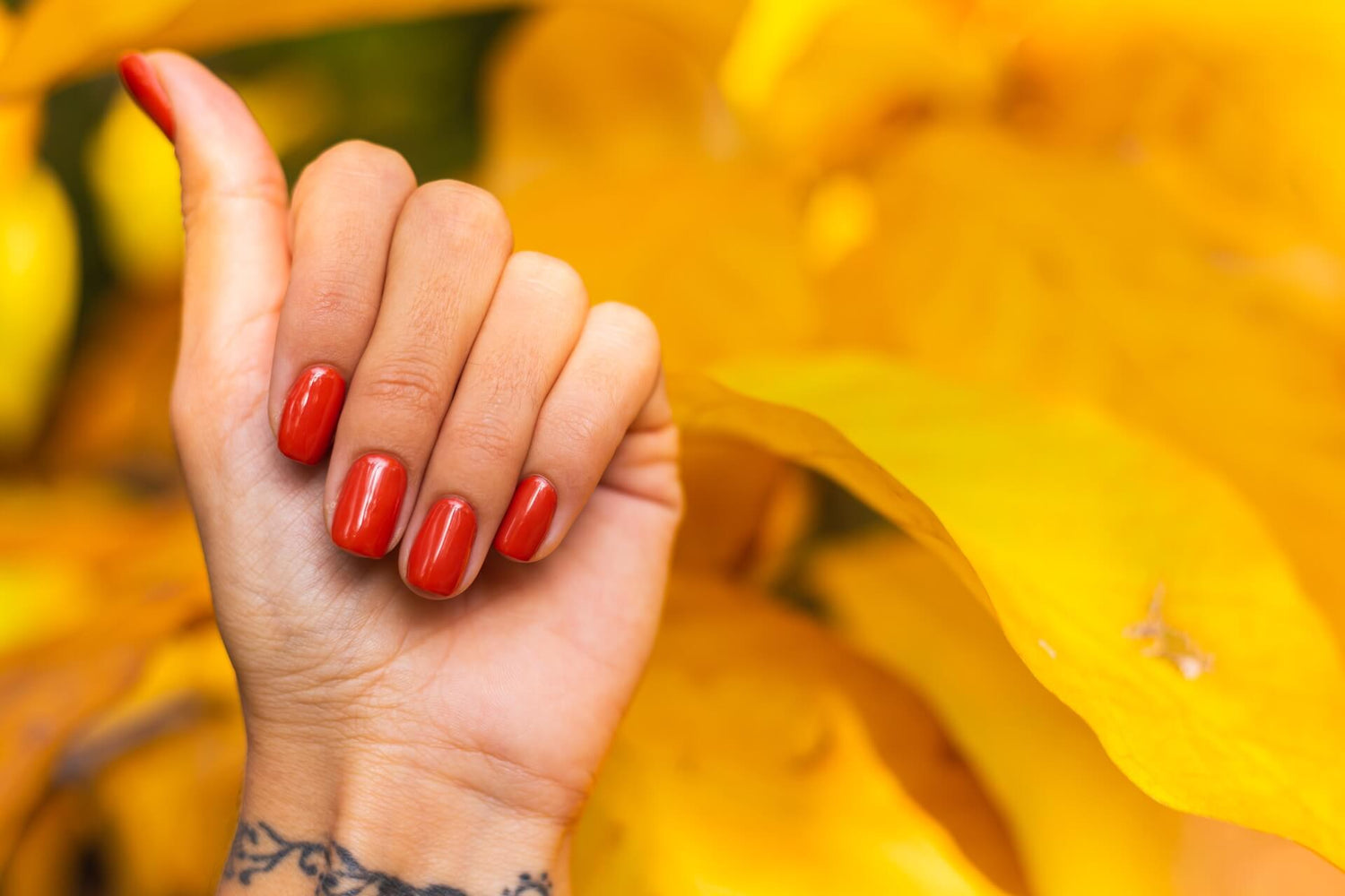 Φθινοπωρινά nail trends: Οι νέες τάσεις του 2024-2025 (Μέρος Α)